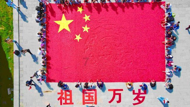 哈尼和她的宠物们